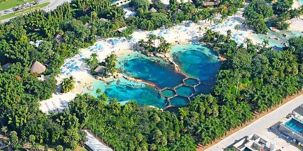 The Top Benefits of Vacation Ownership at Westgate Resorts